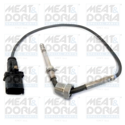 Sensor, exhaust gas temperature